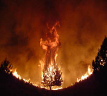 fire demon